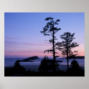 Pôster América do Norte, Canadá, ilha de Vancouver, ár