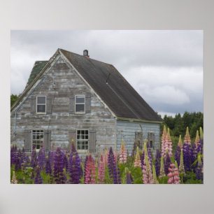 Pôster América do Norte, Canadá, Ilha do Príncipe Edward,