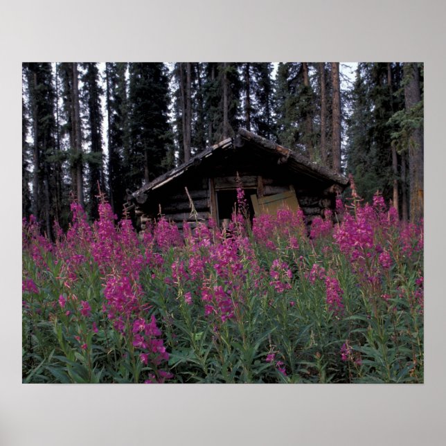 Poster América do Norte, Canadá, Yukon. Armadores abandon (Frente)