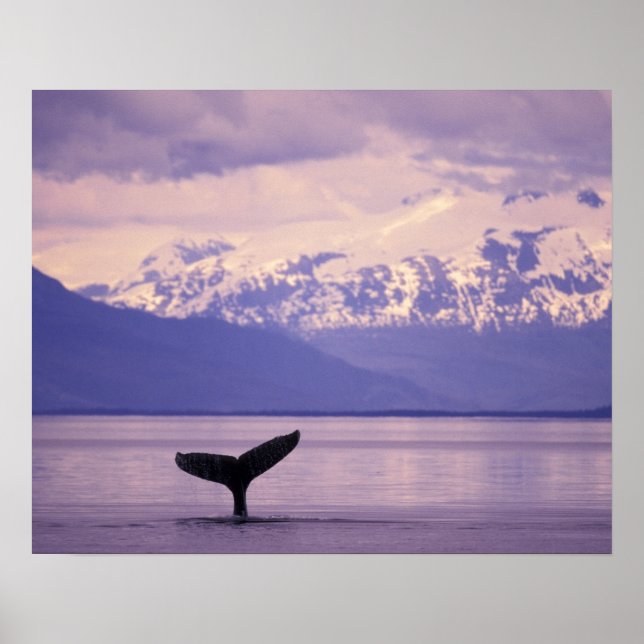 Pôster América do Norte, EUA, Alasca, Dentro Passage. (Frente)