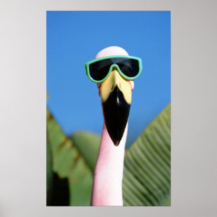 Pôster América do Norte, EUA, Califórnia, San Diego. Ma