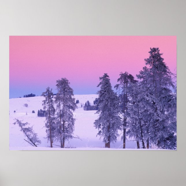 Poster América do Norte, EUA, Montana, Yellowstone (Frente)