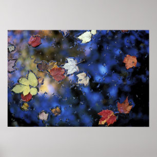 Pôster América do Norte, EUA, NH, sai num lago próximo