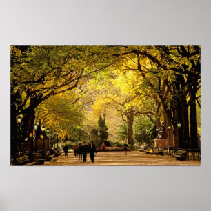 Poster América do Norte, EUA, Nova York, Nova Iorque.12