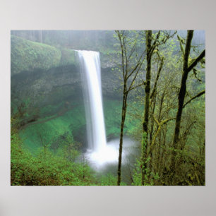 Pôster América do Norte, EUA, Oregon, Silver Falls State