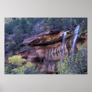 Pôster América do Norte, EUA, Utah, Parque Nacional Zion.