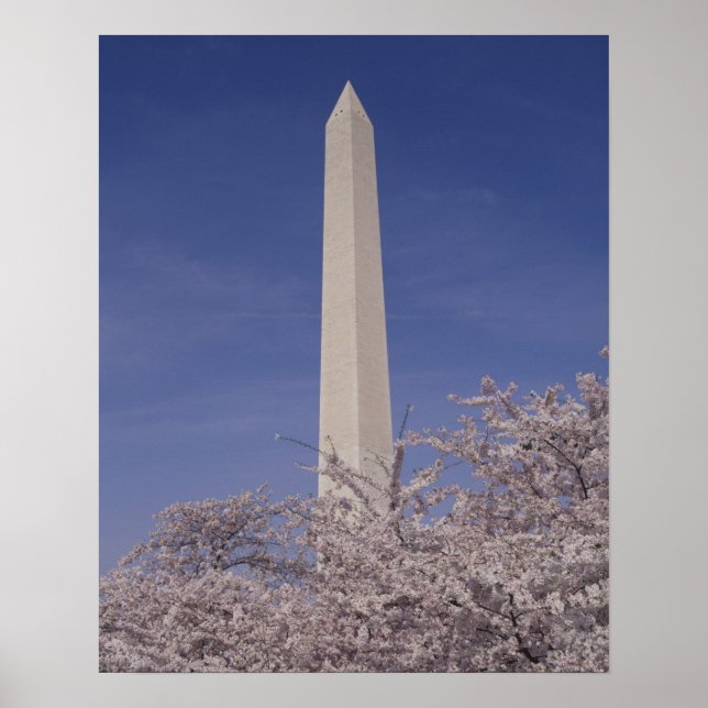 Pôster América do Norte, EUA, Washington D.C. Washington (Frente)