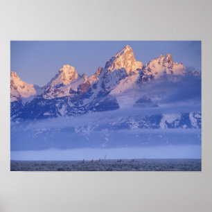 Pôster América do Norte, EUA, Wyoming, Grand Teton NP, 2