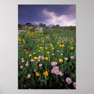 Poster América do Norte, EUA, Wyoming, Yellowstone 2