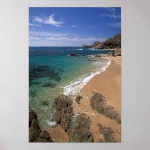 Poster América do Norte, México, Baixa Califórnia Sur,