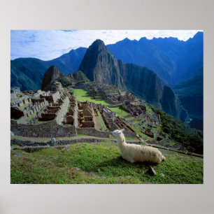 Pôster Ámérica do Sul, Peru. Um lama descansa em um mon