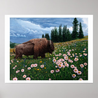 Pôster American Bison - "Sem Tempo Para Flores"