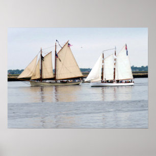 Poster American Eagle and Adirondack III
