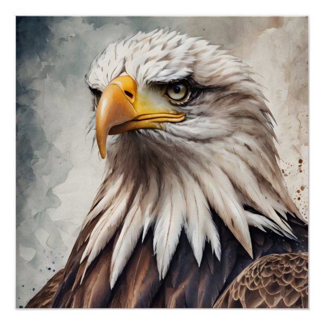 Pôster American Eagle no 8 Glossy Poster (Frente)