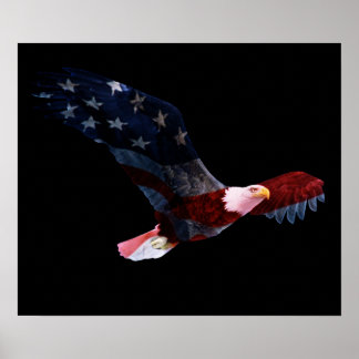 Poster American Flag Bald Eagle