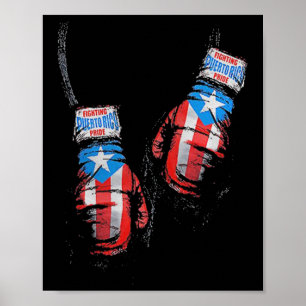 Poster American Flag Boxing USA Luvas Malhação Gym Boxer