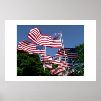 Poster American Flag Display