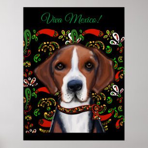 Poster American Foxhound