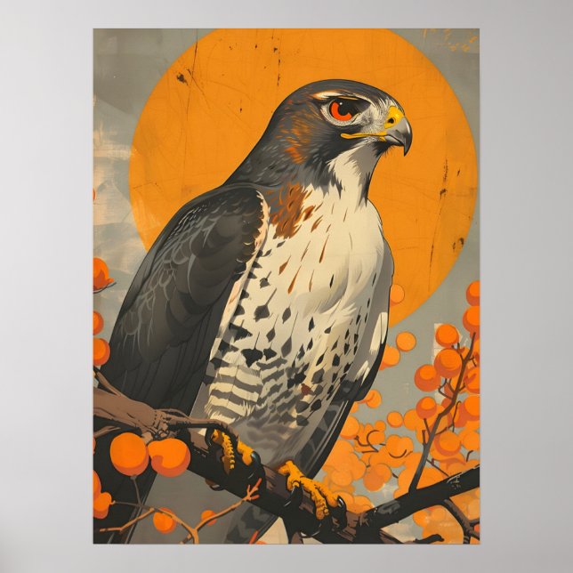 Poster American Goshawk (Frente)