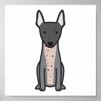 American Hairless Terrier