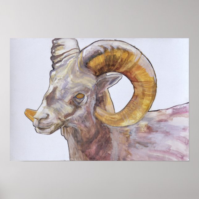 Poster American Long Horn 2004 (Frente)