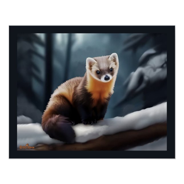 Pôster American Pine Marten (Frente)