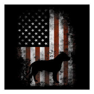Pôster American Pitbull Terrier T-Shirt American Flag Pat