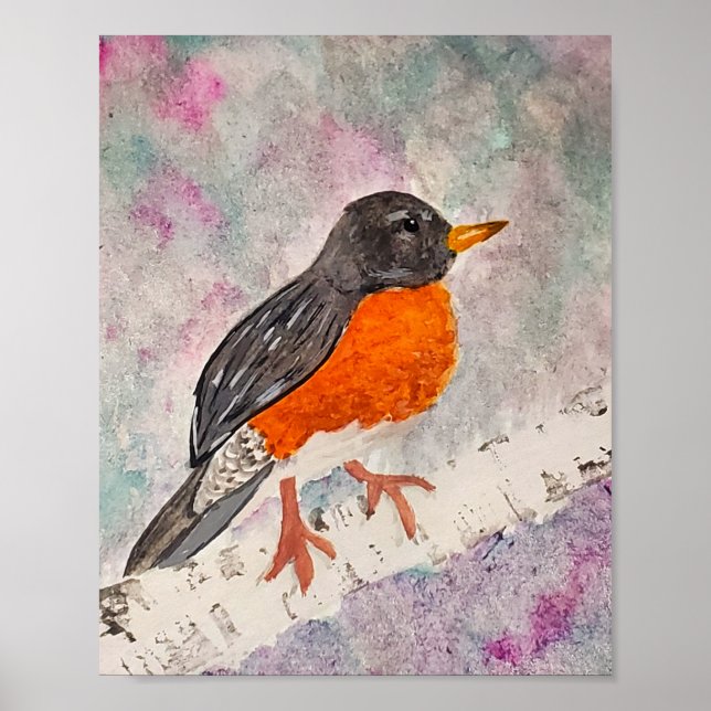 Poster American Robin  (Frente)