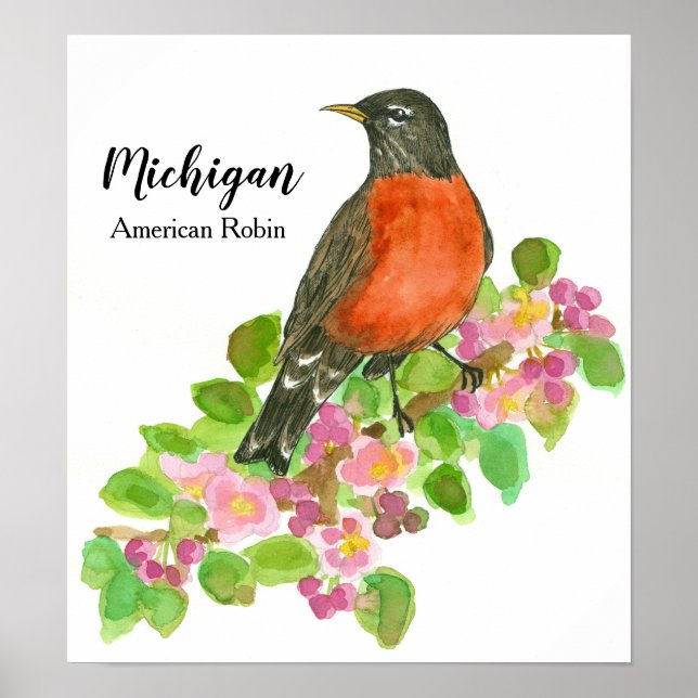 Poster American Robin Apple Blossom Michigan (Frente)