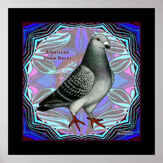 Poster American Show Racer (Frente)