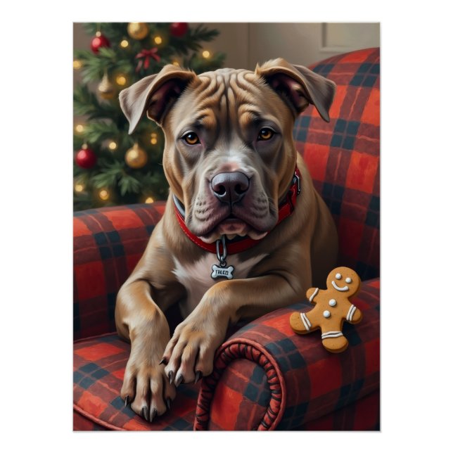Pôster American Staffordshire Terrier Cozy Christmas (Frente)