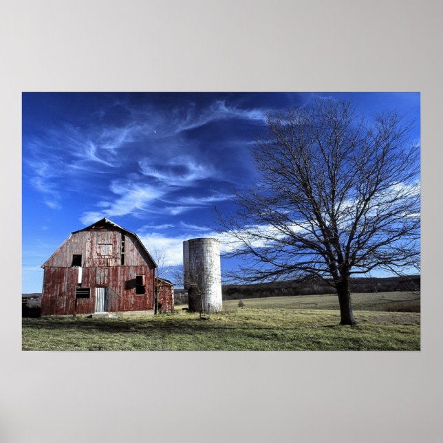 Poster Americana Pax (Frente)