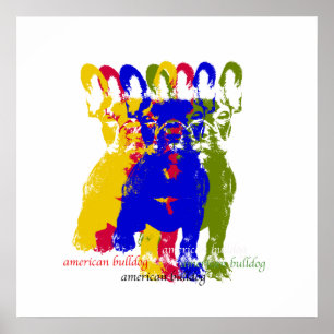 Poster americano do buldogue
