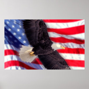 Pôster Americano Eagle com bandeira americana