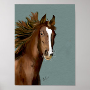 Poster americano Saddlepured