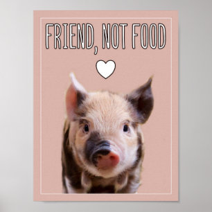 Poster "Amigo, não comida" com o vegan bonito do leitão