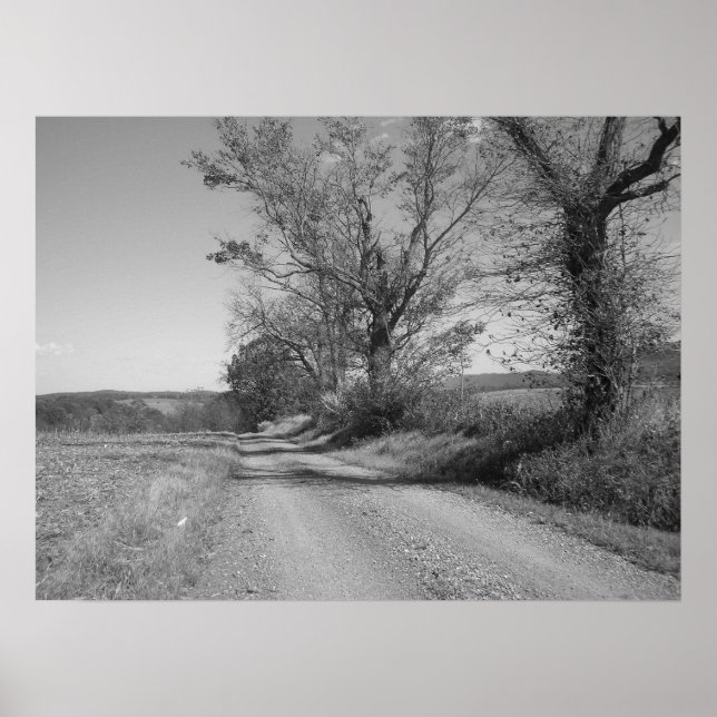 Poster Amigos (Frente)