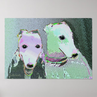 poster "Amigos de cor diferente"