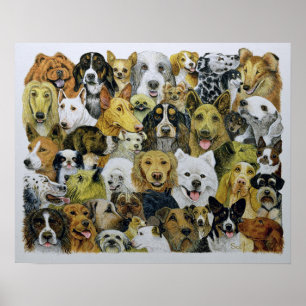 Pôster Amigos do cão
