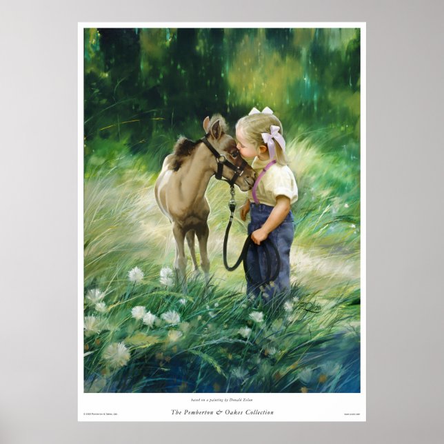 Pôster Amigos do País (Frente)