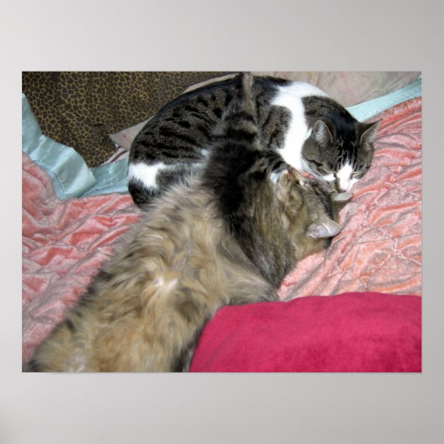 Poster Amigos do Slumber (Frente)