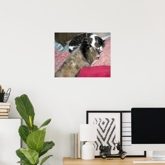 Poster Amigos do Sono (Escritório em casa)