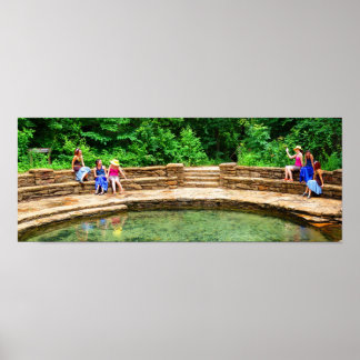 Pôster Amigos em Buffalo Primavera III - Saturação a core