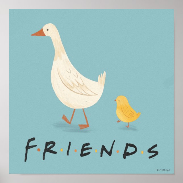 Poster AMIGOS™ | O Pintinho e o Pato (Frente)