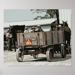 Poster Amish Boy Waves