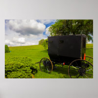 Amish Buggy na Fazenda de Hillside
