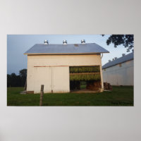 Amish Cigarro Barn/Pensilvânia
