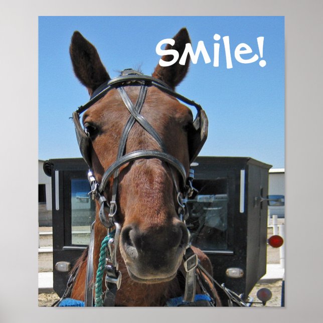 Pôster Amish Smile (Frente)