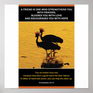 Pôster Amizade de ouro