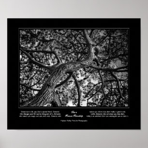 Poster Amizade para sempre, pinheiro canadense, arte fina